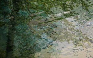 Quelle und Fluss